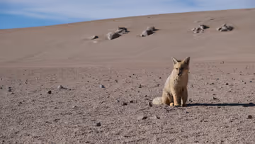 How to Take a Six Month Sabbatical Feature Image